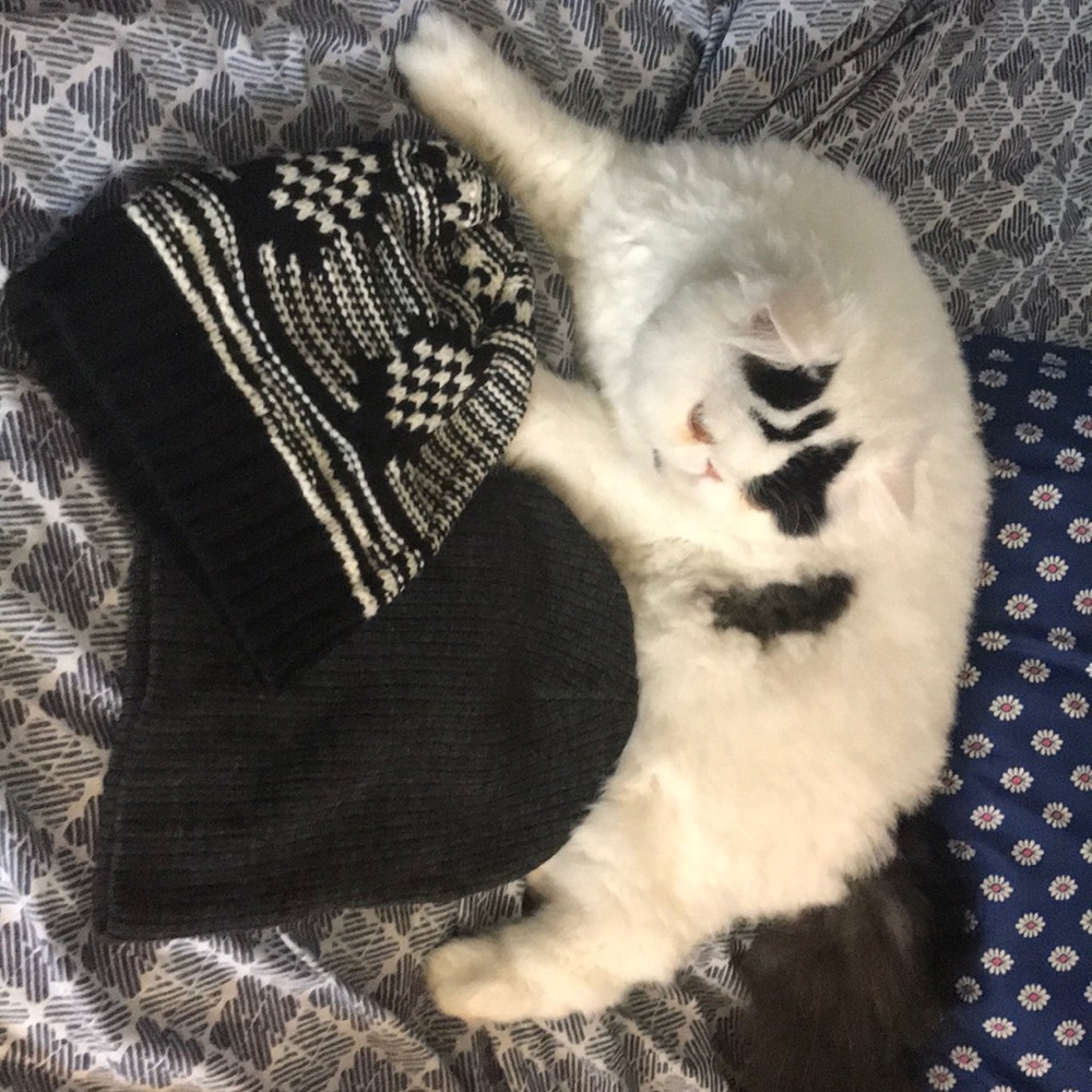 2 beanies